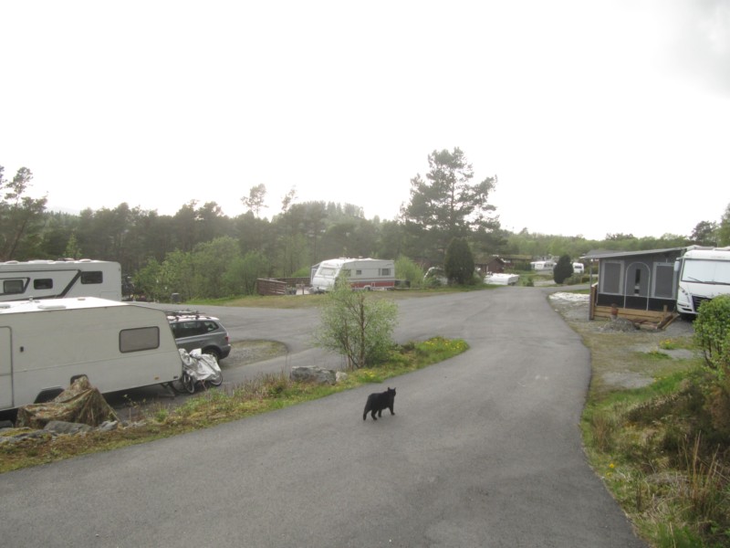 Bilder vom Campingplatz Bruvoll 2